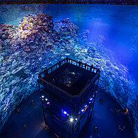 360°-Panorama GREAT BARRIER REEF von Yadegar Asisi – Blick aus der Vogelperspektive – Besucher auf der Besucherplattform im Panometer Dresden. © asisi