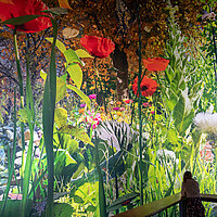 The four seasons can be discovered in CAROLAS GARTEN, photo Tom Schulze © asisi
