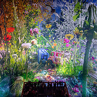 In CAROLAS GARTEN visitors take the point of view of an insect, photo Tom Schulze © asisi