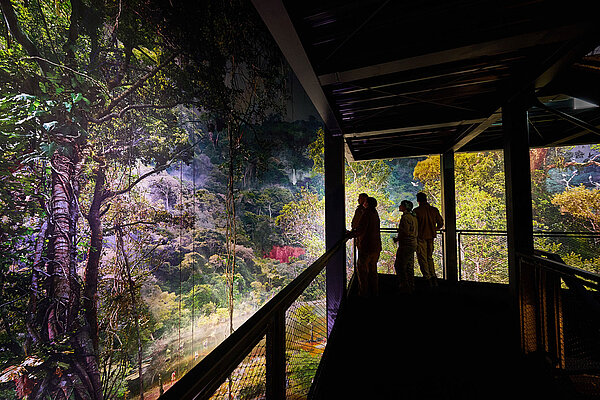 AMAZONIEN Panorama von Yadegar Asisi – Eröffnung in Hannover