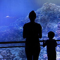 360°-Panorama GREAT BARRIER REEF von Yadegar Asisi – Besucher auf der Besucherplattform im Panometer Dresden. © asisi