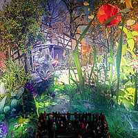 Visitors observe CAROLA’S GARDEN from the highest platform, photo Tom Schulze © asisi