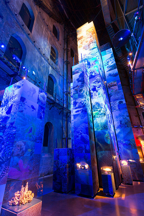 GREAT BARRIER REEF im Panometer Leipzig; Ausstellung