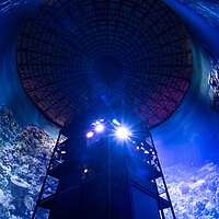 Das 360°-Panorama GREAT BARRIER REEF von Yadegar Asisi im Panometer Dresden – Blick aus der Froschperspektive  © asisi