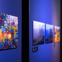 Gallery wall with impressionist works by Yadegar Asisi in the accompanying exhibition © asisi
