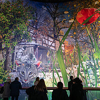 Visitors face a lurking cat in CAROLA’S GARDEN, photo Tom Schulze © asisi
