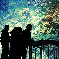 GREAT BARRIER REEF, view from visitors’ platform onto a panorama section in Rouen (2017), photo: Thomas Boivin © asisi