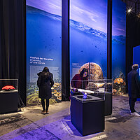 Besucher in der Ausstellung zum 360°-Panorama GREAT BARRIER REEF von Yadegar Asisi © asisi