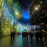 AMAZONIA, view to panorama section with visitors’ platform in Hanover (2017), photo: Christian Wyrwa © asisi