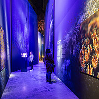 Besucher in der Ausstellung zum 360°-Panorama GREAT BARRIER REEF von Yadegar Asisi  © asisi