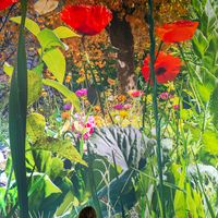 Summer poppies and autumn leaves can be found alongside in CAROLA’S GARDEN, photo Tom Schulze © asisi