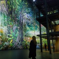 AMAZONIA, view to panorama section with visitors’ platform in Hanover (2017), photo: Christian Wyrwa © asisi